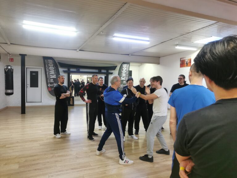 salle wing chun lille